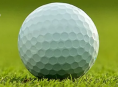 EA Sports PGA Tour verfehlt das Green, wird auf unbestimmte Zeit verschoben