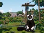 Zum zweiten Geburtstag von Planet Zoo gibt es eine Konditorei und eine Lemurenart als Geschenk