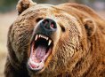 Entwickler stellt Arbeit an Bear Simulator ein